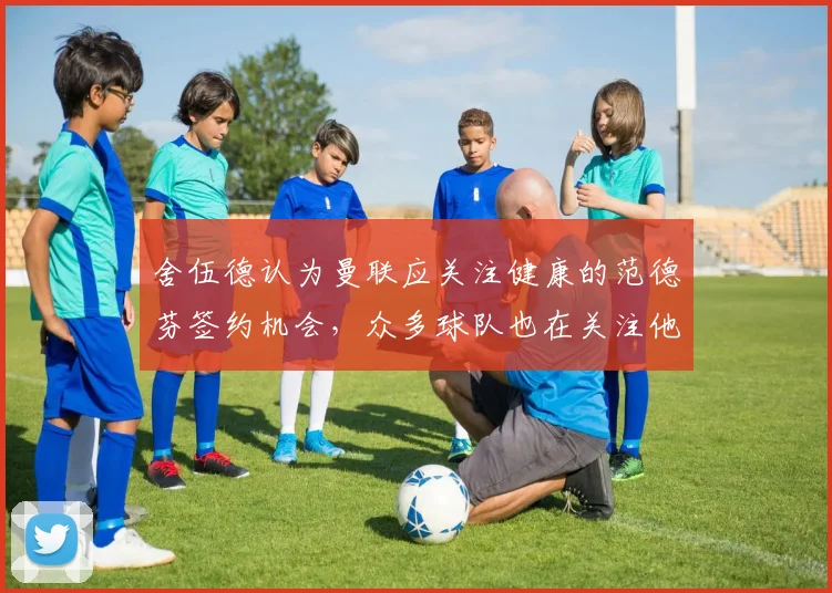 舍伍德认为曼联应关注健康的范德芬签约机会，众多球队也在关注他