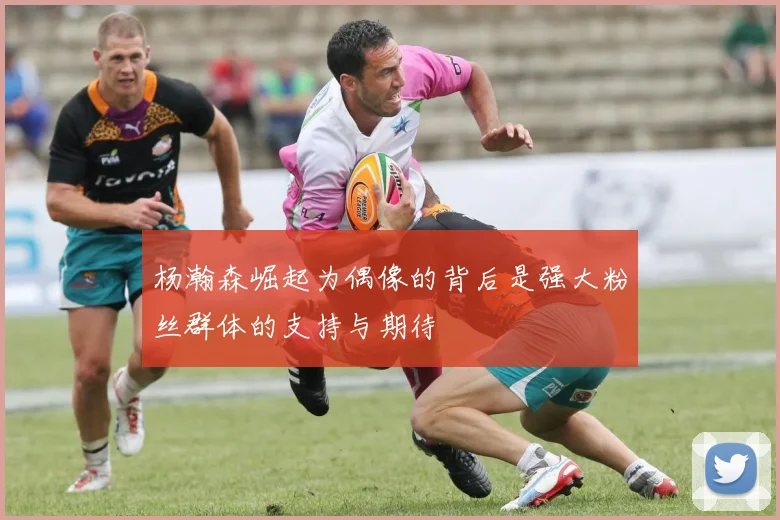 杨瀚森崛起为偶像的背后是强大粉丝群体的支持与期待