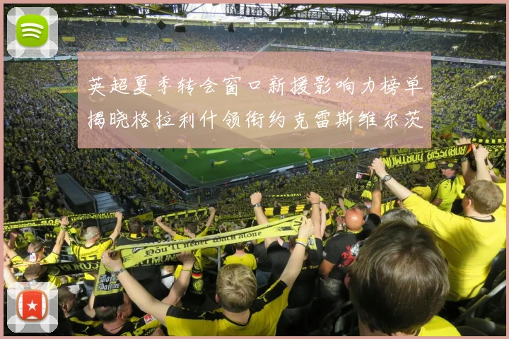 英超夏季转会窗口新援影响力榜单揭晓格拉利什领衔约克雷斯维尔茨排名解析