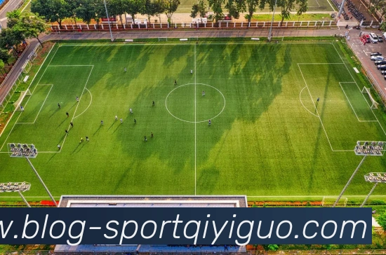 奇异果体育平台生态图